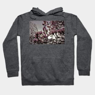 Cherry Blossom Hoodie